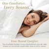 image:imageBella Coterie  Bamboo Viscose Duvet Insert KingCal King Size  All Season  Down Alternative Comforter  Hotel Luxury  Cooling  Ultra Soft  8 Secure Tie Loops  Machine Washable  106 x 94 WhiteTwinTwin XL