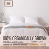 image:imageBella Coterie  Luxury Bamboo Viscose Queen Size Flat Sheet Only  1 Piece  Organically Grown  Cooling for Hot Sleepers  Ultra Soft  Oversized Sea GlassWhite