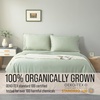image:imageBella Coterie  Luxury Bamboo Viscose Standard Size Pillowcase Set  Organically Grown  Cooling For Hot Sleepers  Ultra Soft  Hypoallergenic  2 Pillowcases WhiteSea Glass