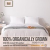 image:imageBella Coterie  Luxury Bamboo Viscose Standard Size Pillowcase Set  Organically Grown  Cooling For Hot Sleepers  Ultra Soft  Hypoallergenic  2 Pillowcases WhiteWhite
