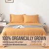 image:imageBella Coterie  Luxury Bamboo Viscose Standard Size Pillowcase Set  Organically Grown  Cooling For Hot Sleepers  Ultra Soft  Hypoallergenic  2 Pillowcases WhiteMarigold