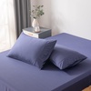 Twilight Blue