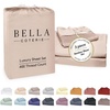 18 - Dusty Rose