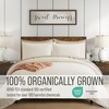 image:imageBella Coterie  Luxury Bamboo Viscose Queen Size Duvet Cover Set  Organically Grown  Cooling  Ultra Soft  8 Corner Ties  2 Pillow Shams  90 x 94  No Insert Sea GlassIvory