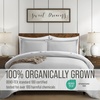 image:imageBella Coterie  Luxury Bamboo Viscose Queen Size Duvet Cover Set  Organically Grown  Cooling  Ultra Soft  8 Corner Ties  2 Pillow Shams  90 x 94  No Insert Sea GlassGrey Mist