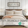 image:imageBella Coterie  Luxury Bamboo Viscose Queen Size Duvet Cover Set  Organically Grown  Cooling  Ultra Soft  8 Corner Ties  2 Pillow Shams  90 x 94  No Insert Sea GlassDune