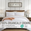 image:imageBella Coterie  Luxury Bamboo Viscose Queen Size Duvet Cover Set  Organically Grown  Cooling  Ultra Soft  8 Corner Ties  2 Pillow Shams  90 x 94  No Insert Sea GlassWhite