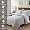 image:imageBella Coterie  Luxury Bamboo Viscose Queen Size Duvet Cover Set  Organically Grown  Cooling  Ultra Soft  8 Corner Ties  2 Pillow Shams  90 x 94  No Insert Sea GlassGrey Mist