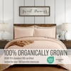 image:imageBella Coterie  Luxury Bamboo Viscose Queen Size Duvet Cover Set  Organically Grown  Cooling  Ultra Soft  8 Corner Ties  2 Pillow Shams  90 x 94  No Insert Sea GlassChampagne